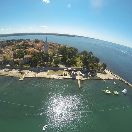 Apartma Jelka Novigrad Istria Dış mekan fotoğraf