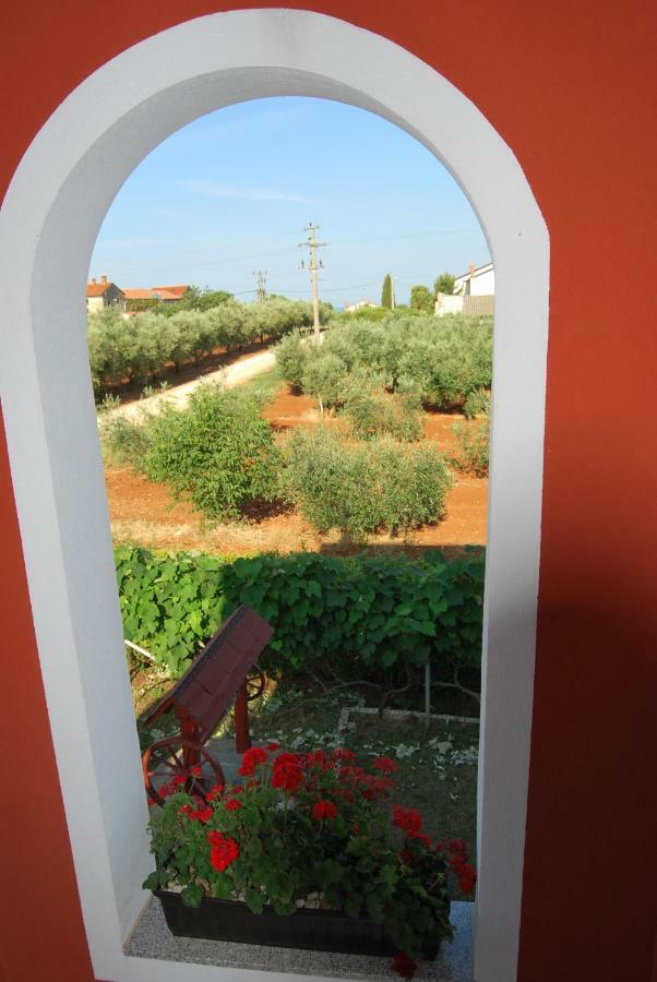 Apartma Jelka Novigrad Istria Dış mekan fotoğraf