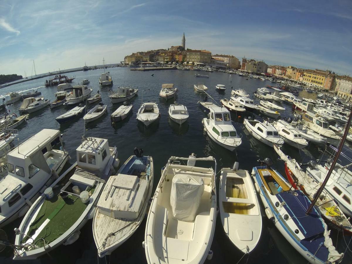 Apartma Jelka Novigrad Istria Dış mekan fotoğraf