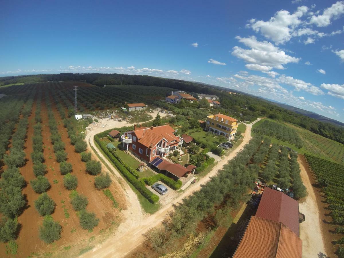 Apartma Jelka Novigrad Istria Dış mekan fotoğraf