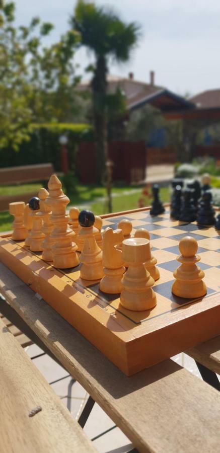 Apartma Jelka Novigrad Istria Dış mekan fotoğraf