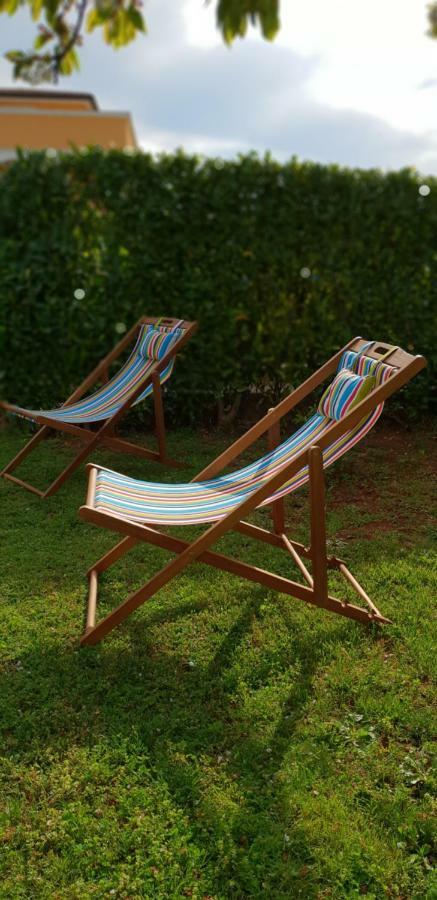 Apartma Jelka Novigrad Istria Dış mekan fotoğraf