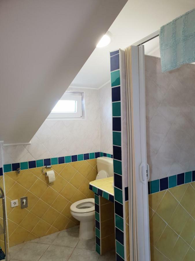 Apartma Jelka Novigrad Istria Dış mekan fotoğraf